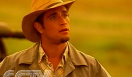 哥伦比亚电视剧,情感纠葛与命运交织的南美风情